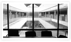 ebis GmbH